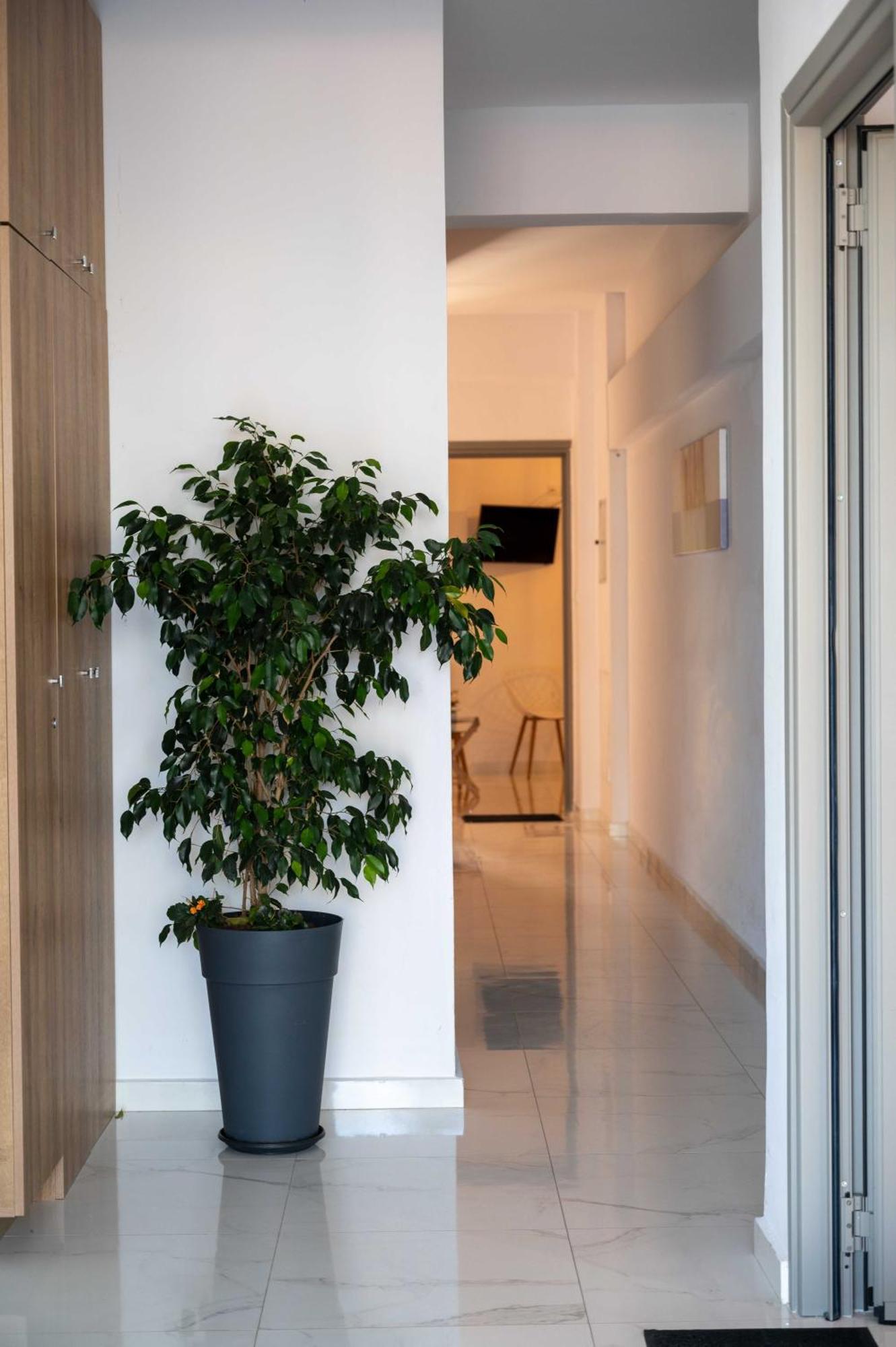Finikas Suites & Apartments 10Min From Athens Airport Артеміда Екстер'єр фото